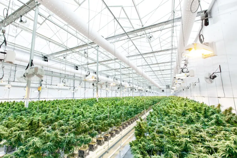 海口企业办公耗材采购指南:电脑配件与数码配件搭配方案正文配图 1
